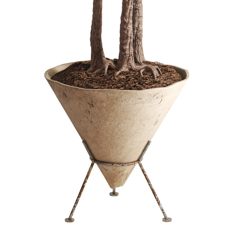 Potted Cone Indoor Plant Philodendron Image 3