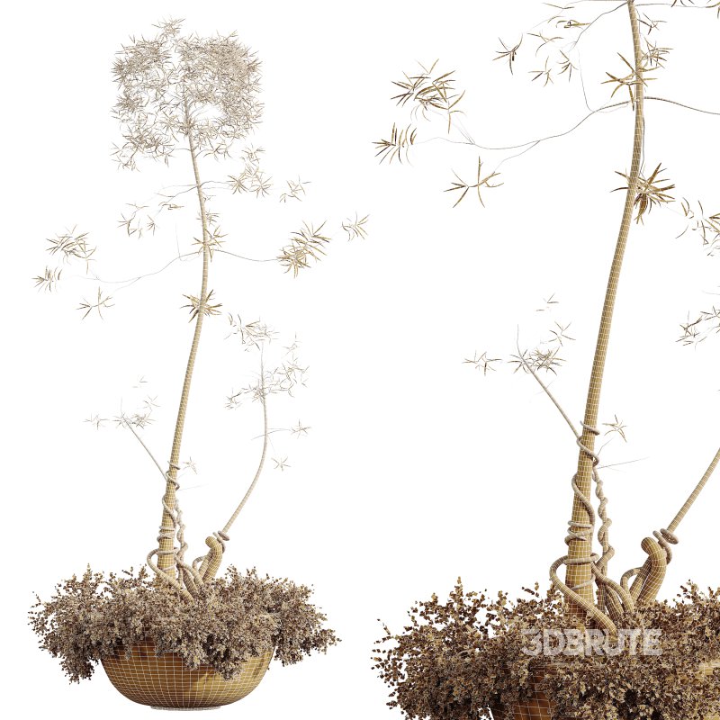 AV HousePlants Japandi Decorative Minimalism Ficus Dracaena Marginata20 Image 4