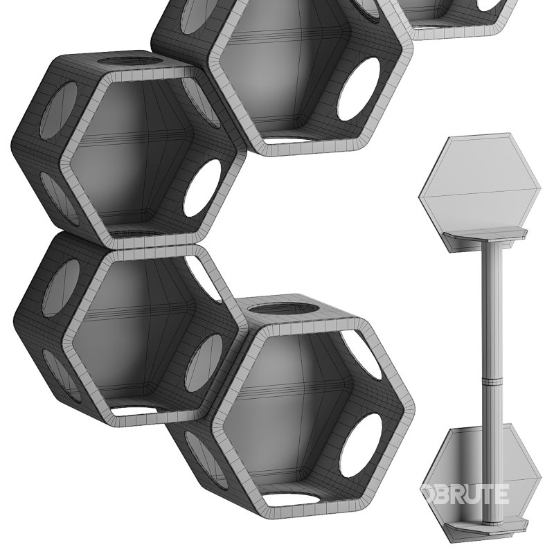 Feline Funhouse 02 Image 15