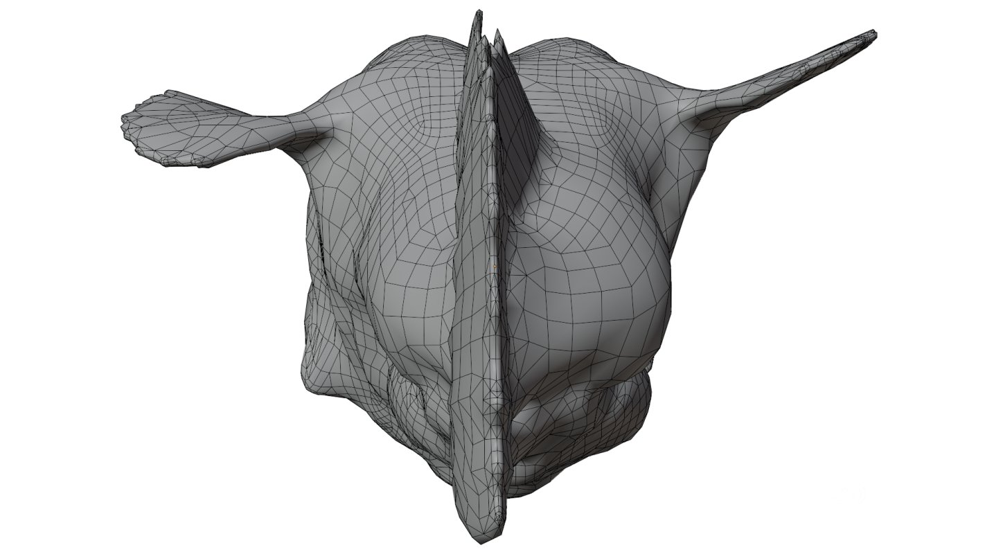 Angler Fish Image 13