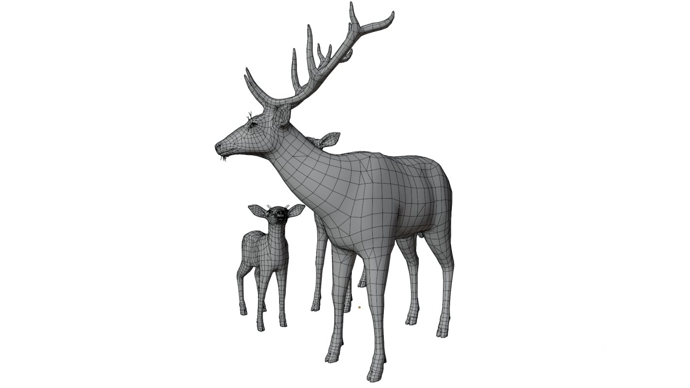 Deer Family Image 13