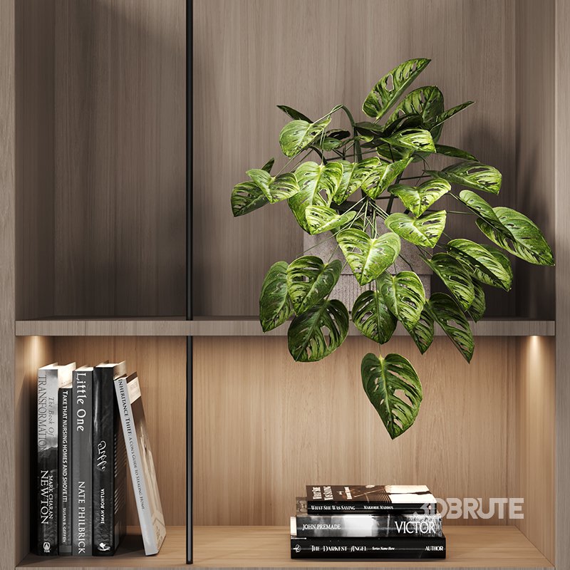 151 book case 151 Image 2