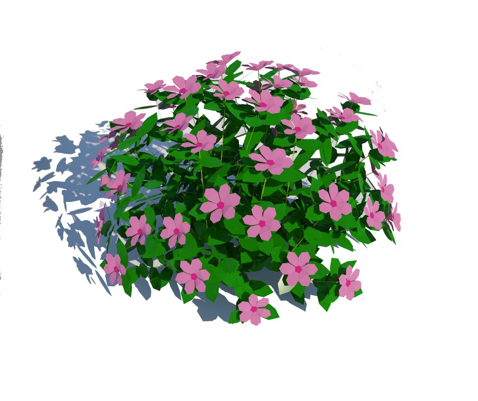Impatiens-pink Image 4
