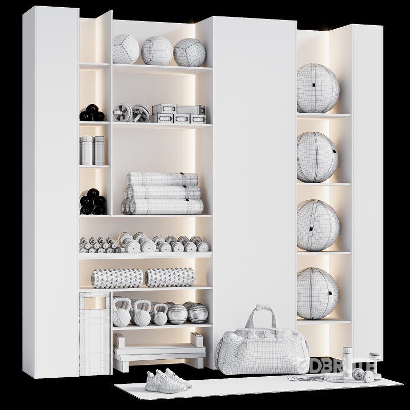 A Rack with gym equipment 03 Image 3