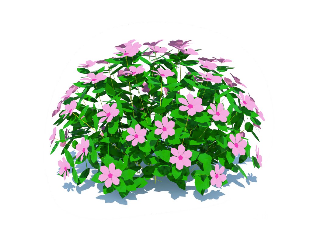 Impatiens-pink Image 5