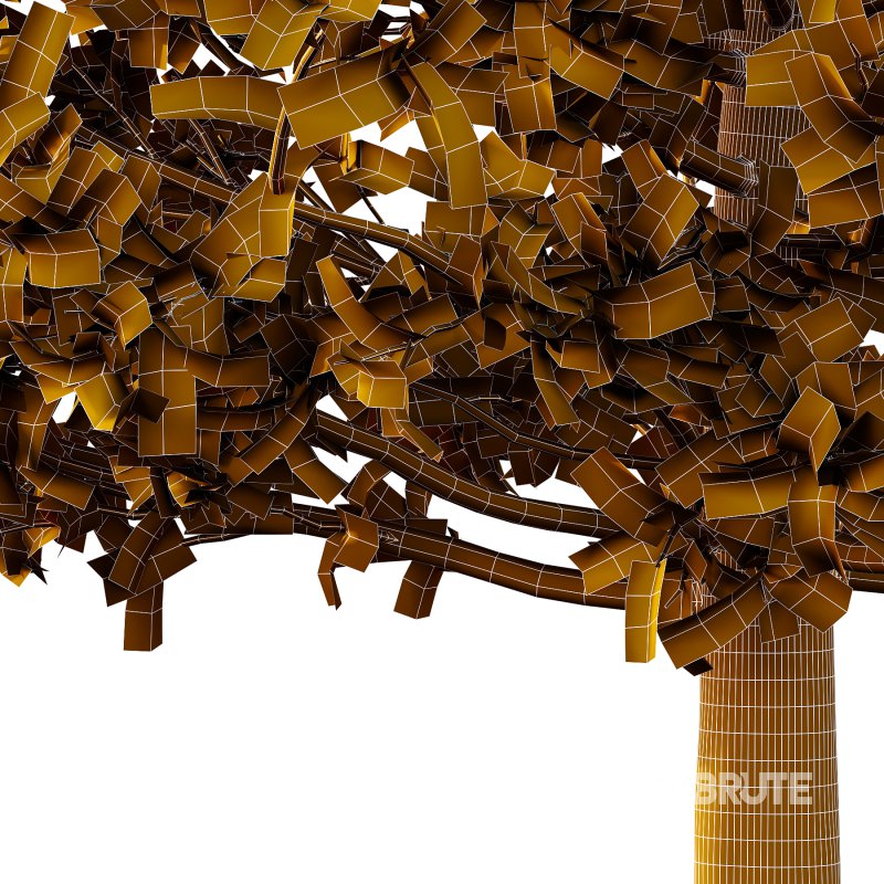 Carpinus Betulus Tree 01 Image 4