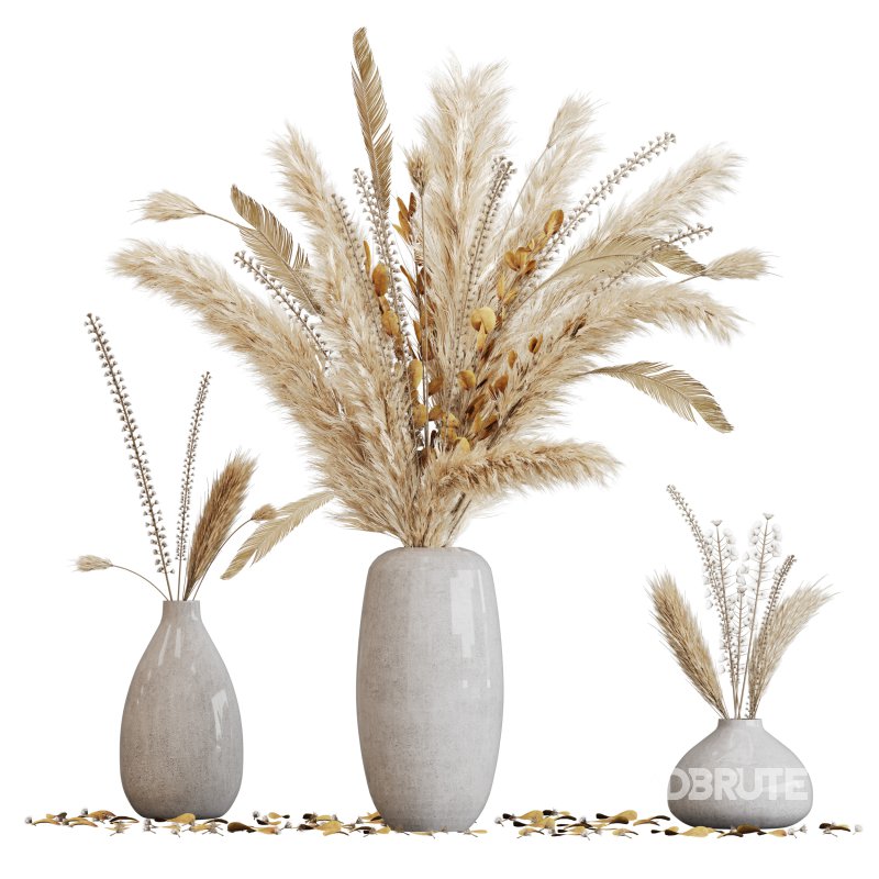 Dried pampas elegance Image 4