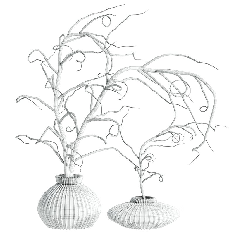 dry bouquet set Image 5