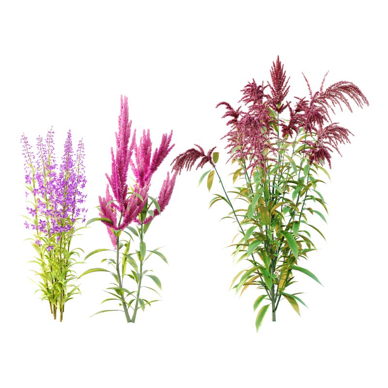 Different Grass 01 Image 2