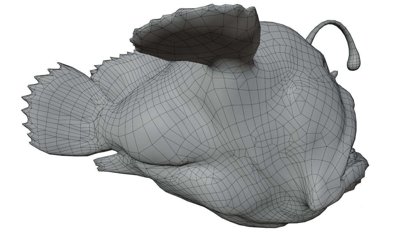 Angler Fish Image 17