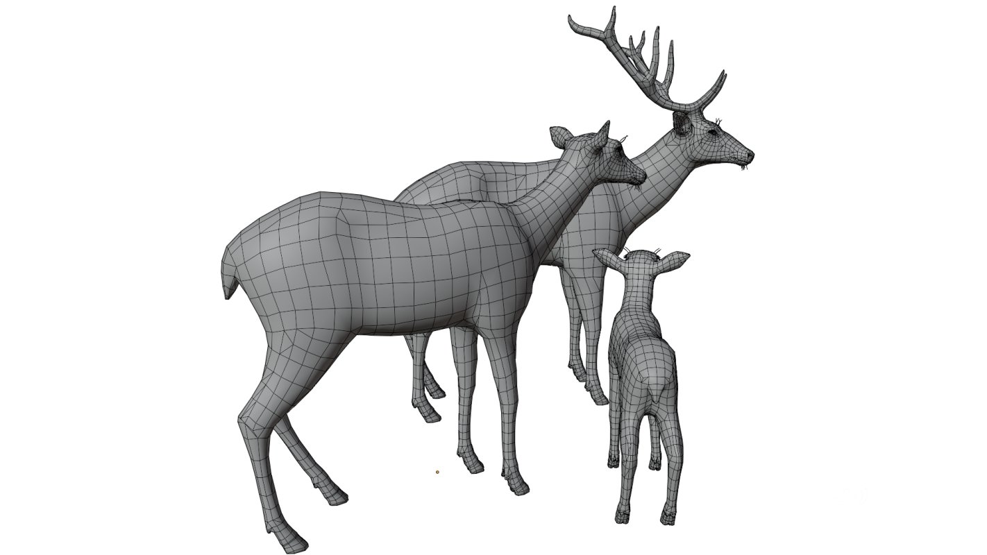 Deer Family Image 17