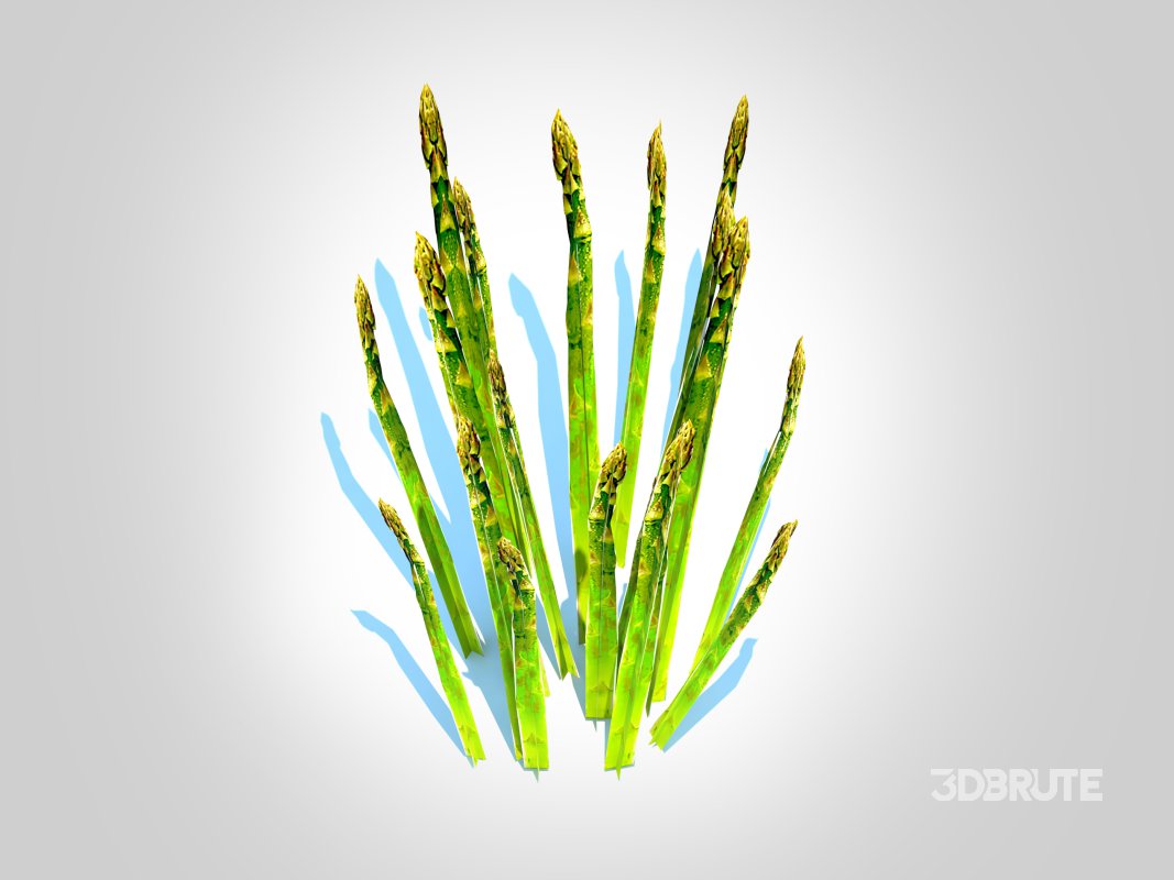 Asparagus Image 5