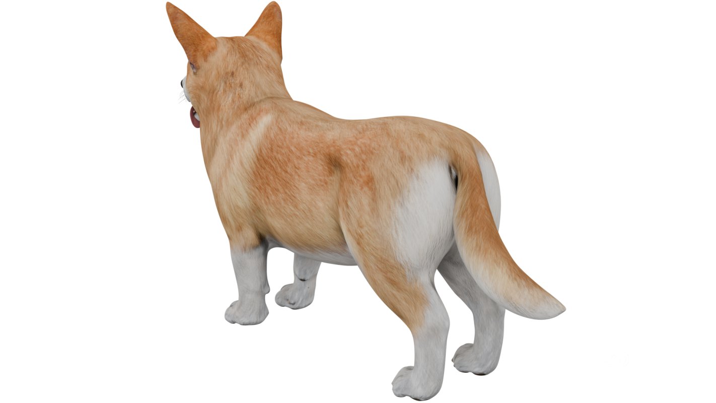 Corgi Image 4