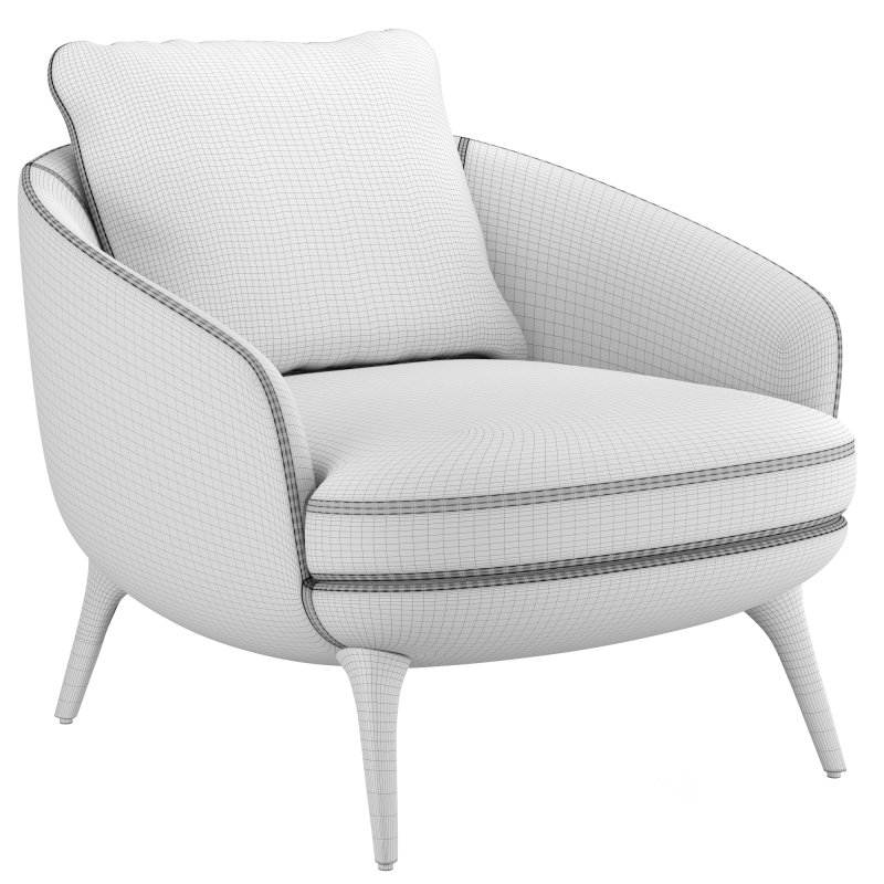 Minotti Raphael Armchair Image 6