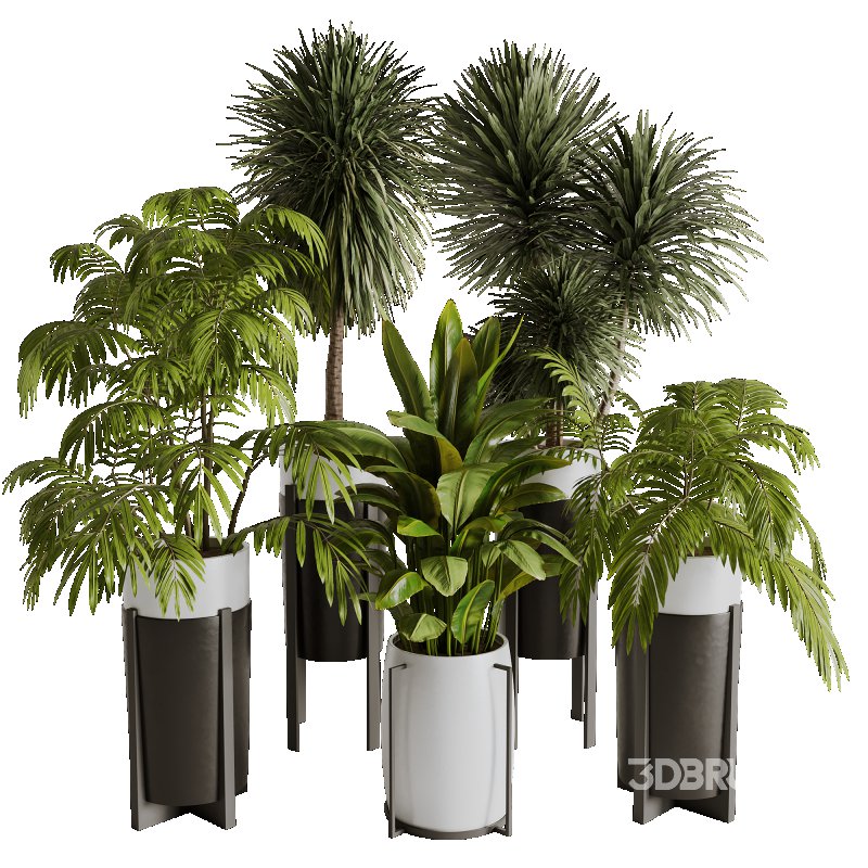 Indoor plants set173 Image 5