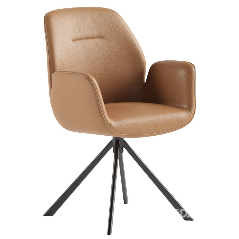 Aura dining chair with armrests Image 2