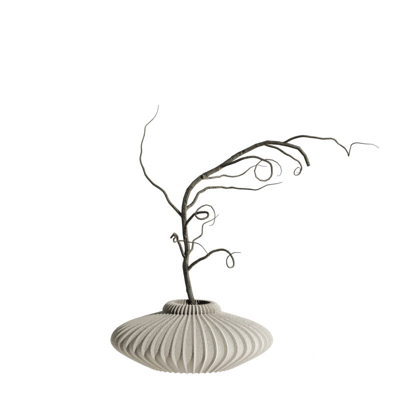 dry bouquet set Image 4