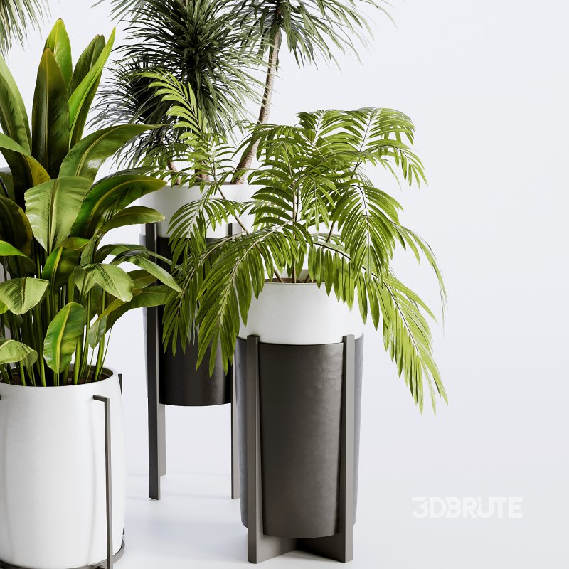 Indoor plants set173 Image 2