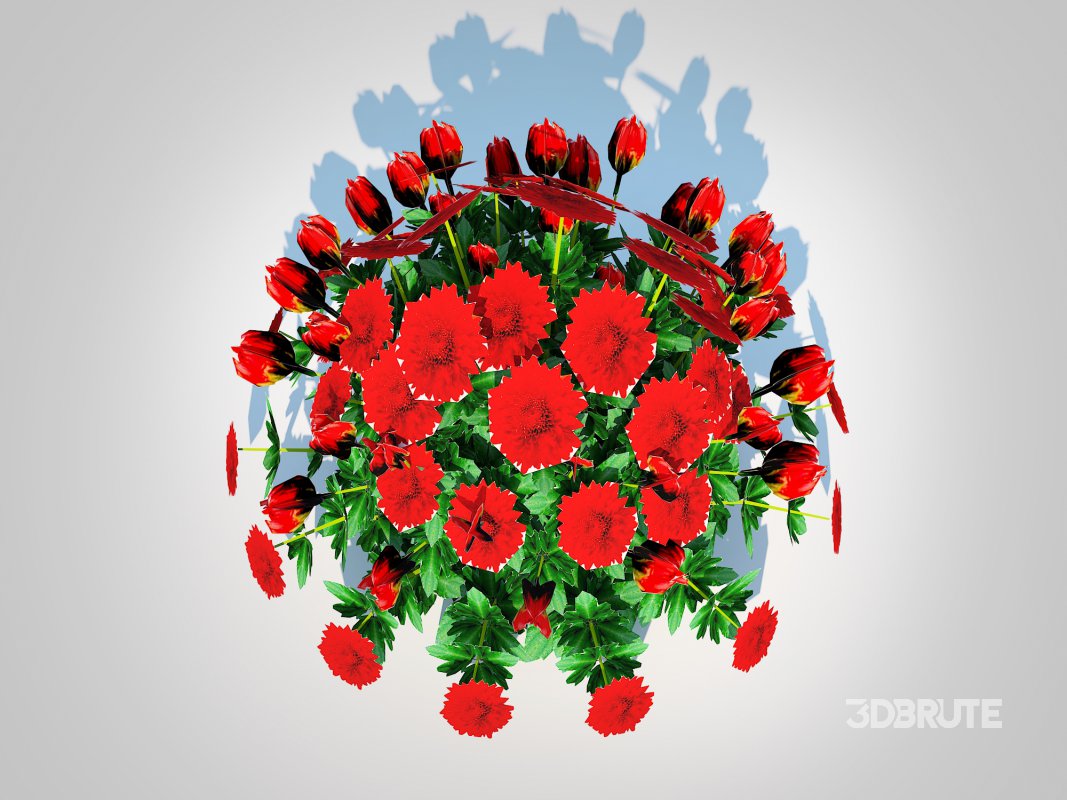 Chrysanthemum – Hardy Mum_red Image 3