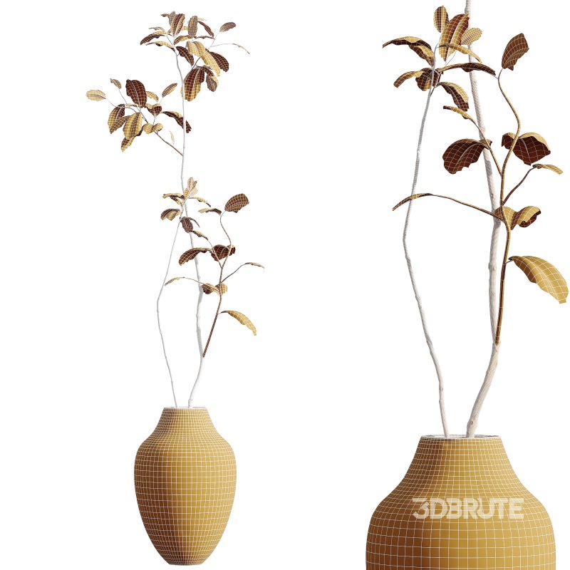 AV HousePlants Japandi Decorative Minimalism Ficus Dracaena Marginata11 Image 3