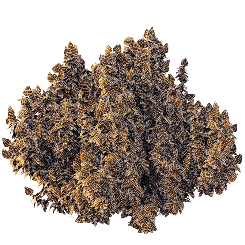 Different bush 01 Image 6