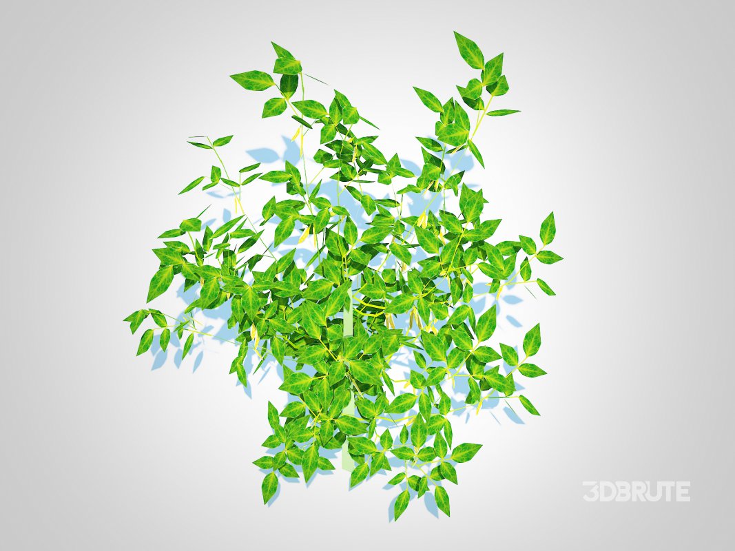 Chilli Pepper-yellow Image 4