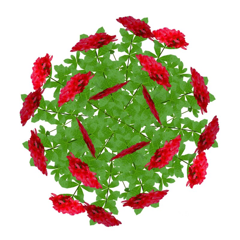 Azalea (Red) Image 3