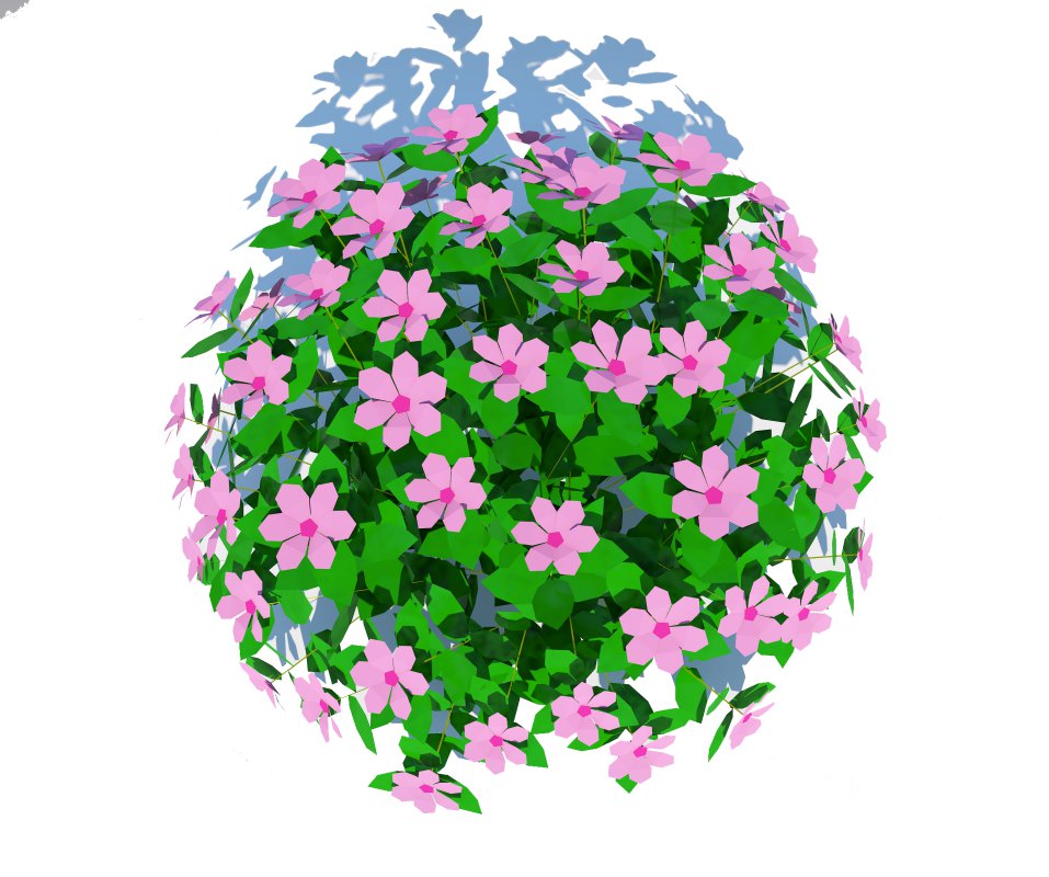 Impatiens-pink Image 7