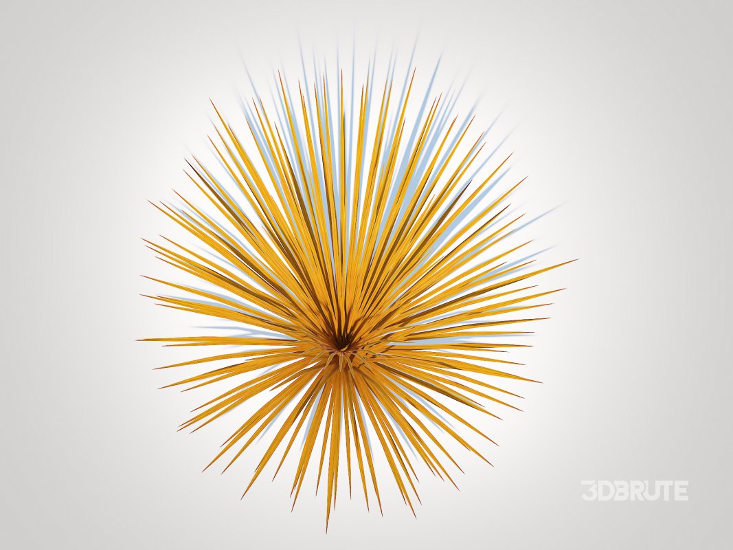 Carex buchananii – Leatherleaf Sedge Image 2