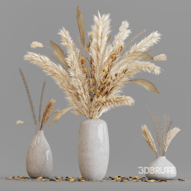 Dried pampas elegance Image 2