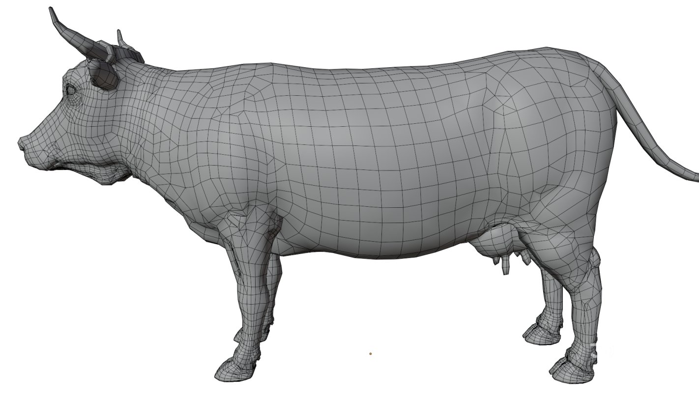 Cow Image 12