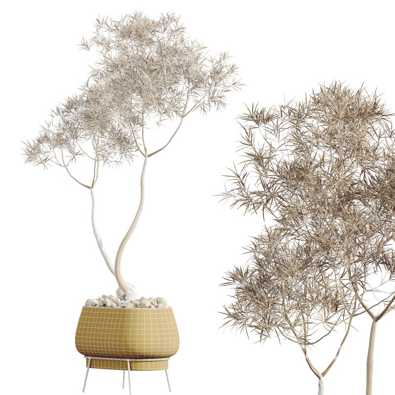 AV HousePlants Japandi Decorative Minimalism Ficus Dracaena Marginata26 Image 4