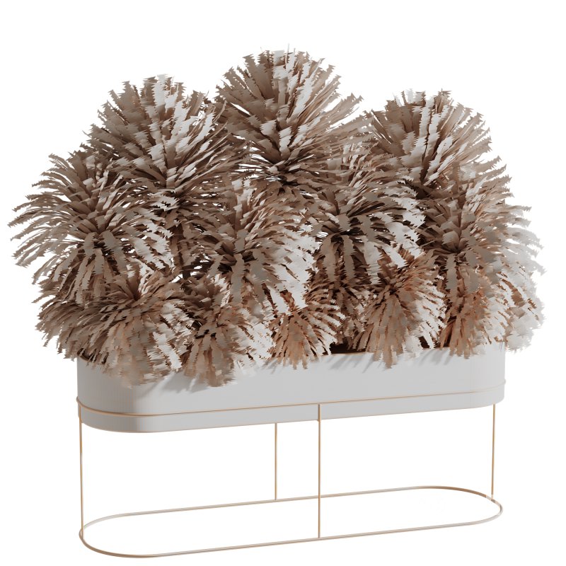 Indoor plants-Plants in Box- set175 Image 2