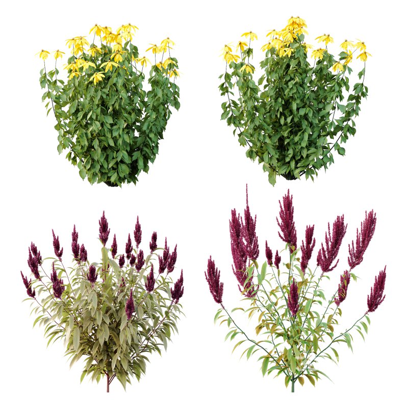 Different bush 07 Image 3