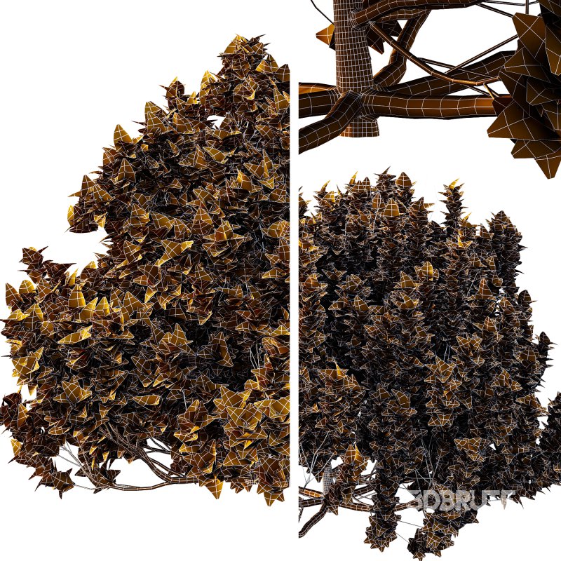 Different bush 02 Image 7