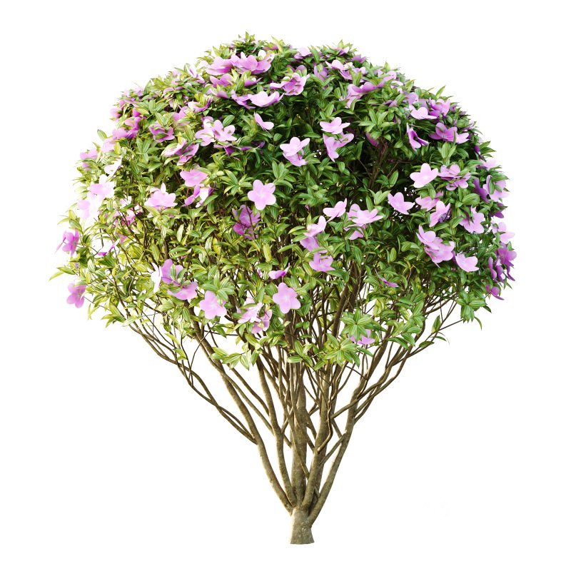 Different bush 03 Image 5