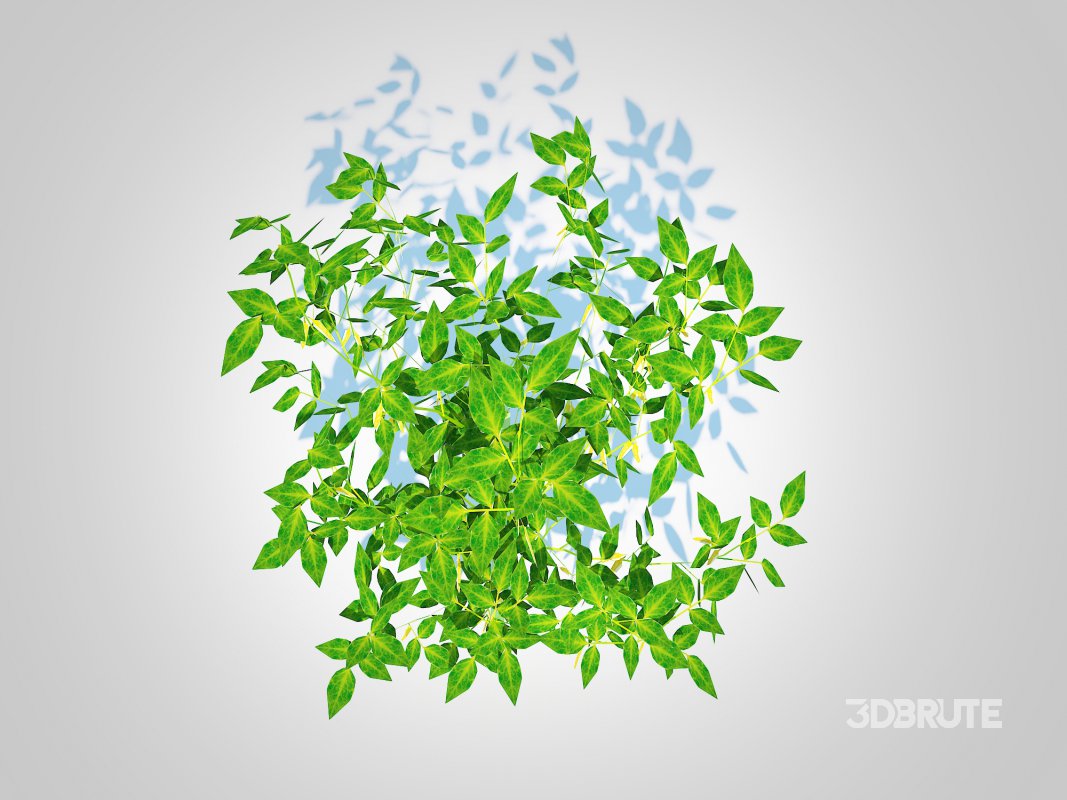 Chilli Pepper-yellow Image 5