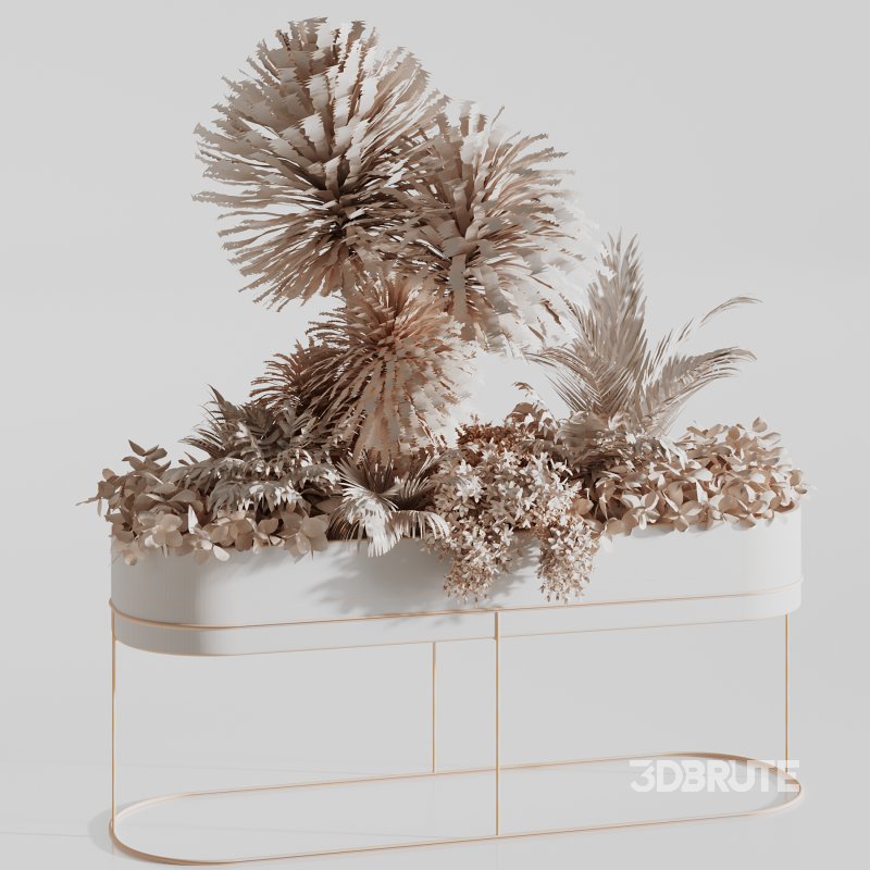 : Indoor plants-plants in box set174 Image 6