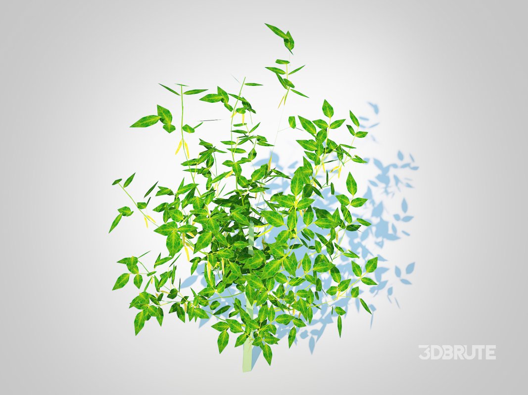 Chilli Pepper-yellow Image 1