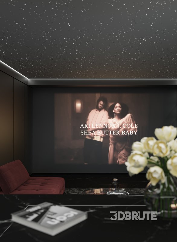 cinema room Image 2