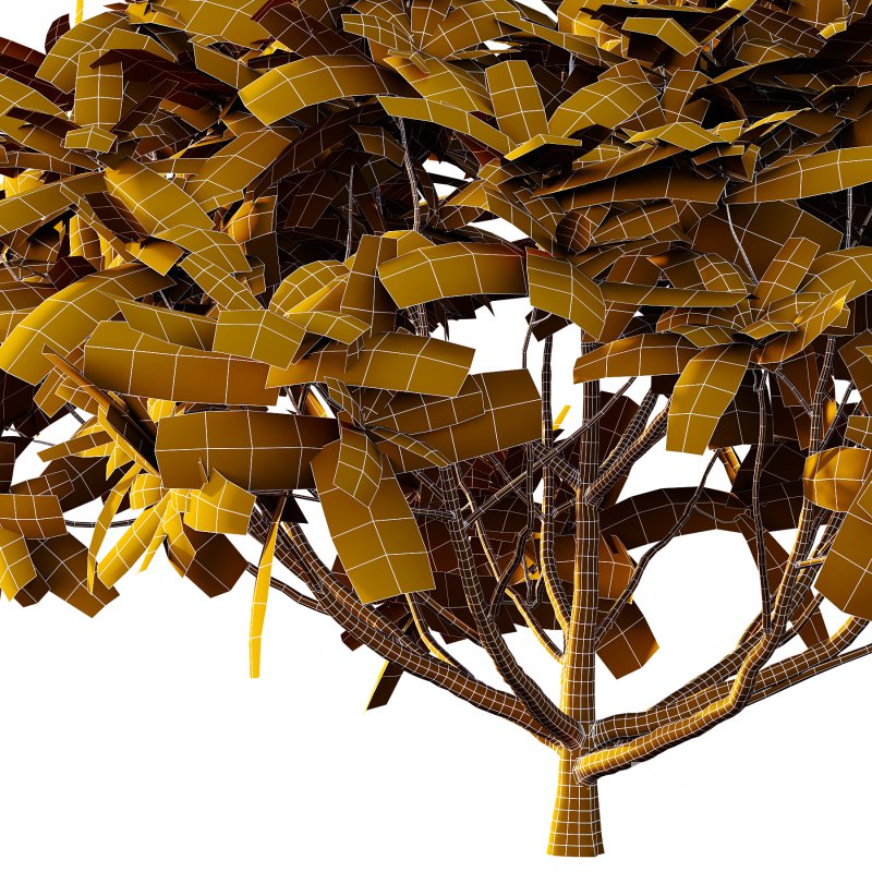 Edgeworthia chrysantha Plant Bush 02 Image 6