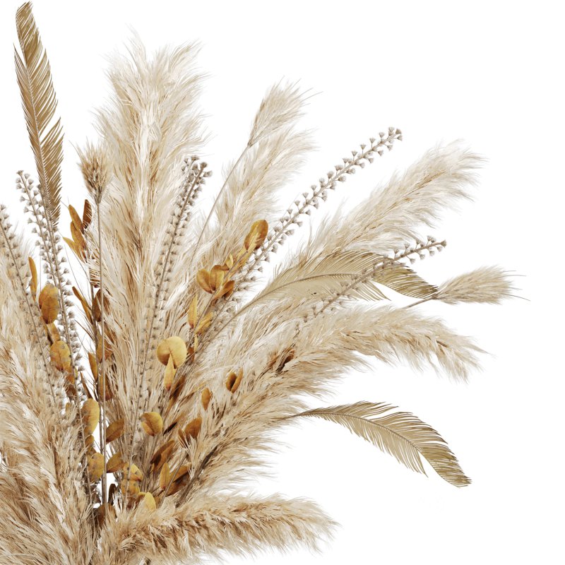 Dried pampas elegance Image 3