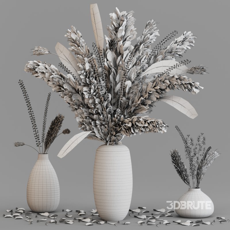 Dried pampas elegance Image 5