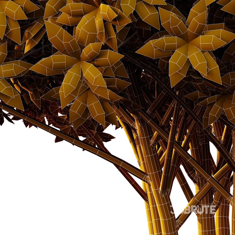 Edgeworthia chrysantha Plant Bush 04 Image 3