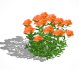 Azalea ( Orange, Pink, Red, White, Yellow) - Thumbnail 1