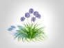 Agapanthus Africanus - Thumbnail 4