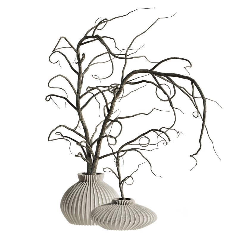 dry bouquet set Image 2