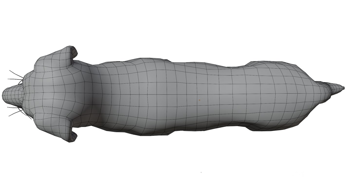 Golden Retriever Image 18