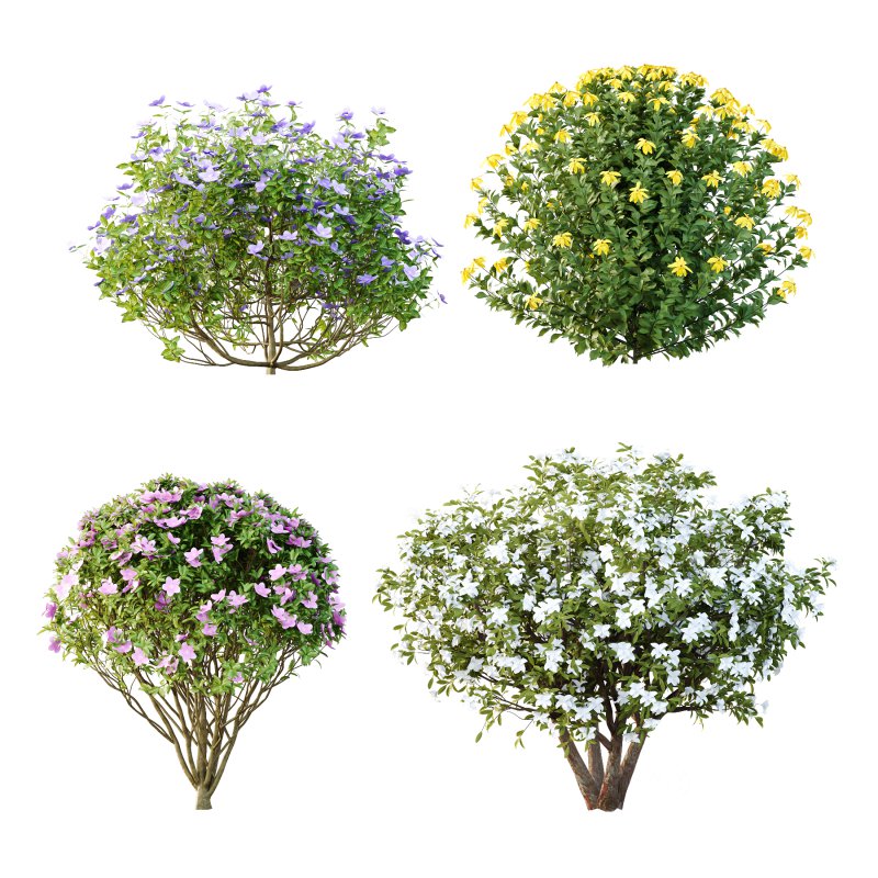 Different bush 03 Image 2