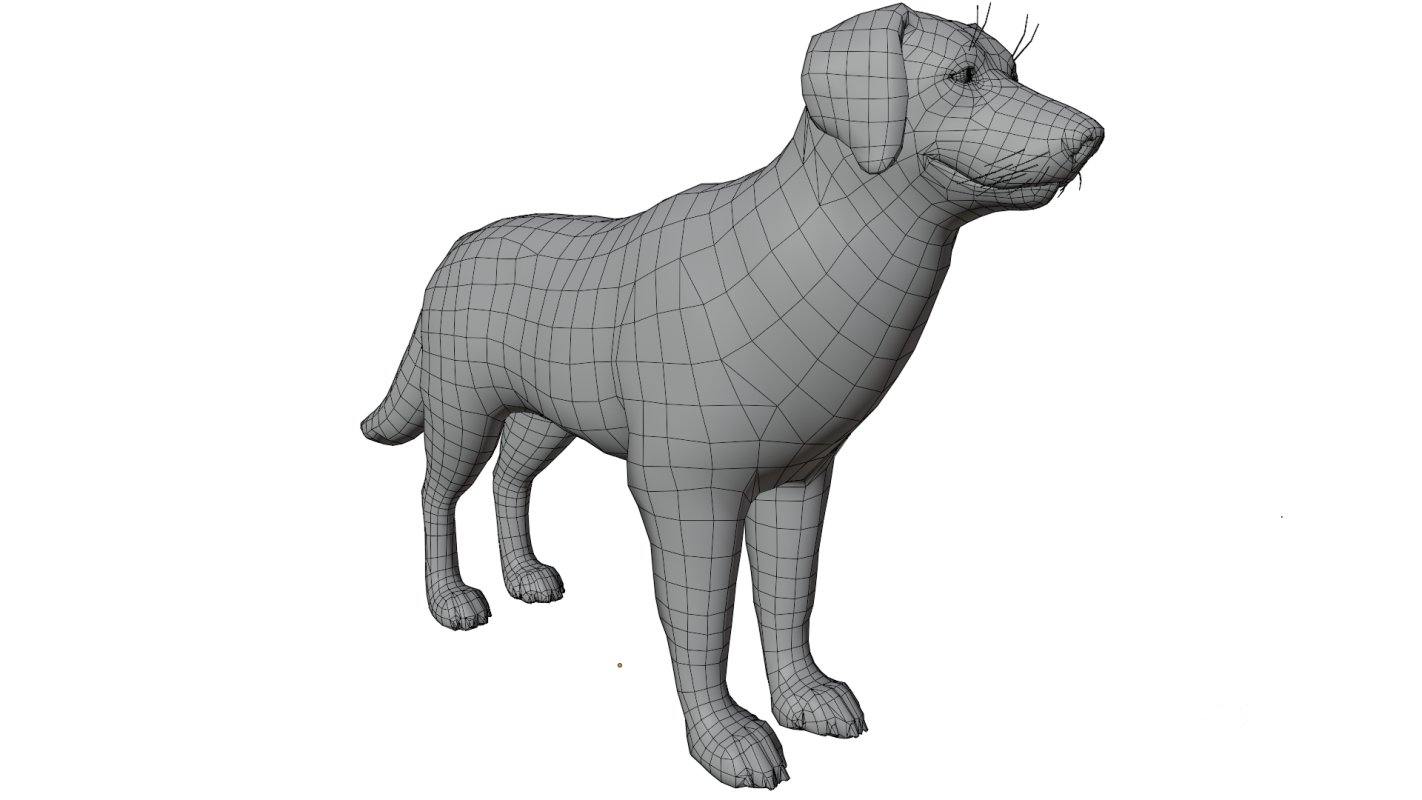 Golden Retriever Image 16